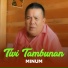 Tivi Tambunan