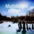 Mudskipper
