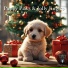 PawJam