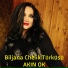 Akın Ok