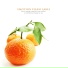 Landscape Sound