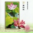 妙蓮華
