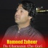 Hameed Zaheer