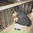 drugsober