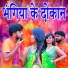 Pundev Gupta, Neha Raj