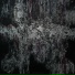 Antibit