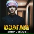 Wajahat Nagri