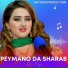 Dil Raaj