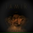 TamiR