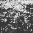baw