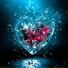 INDEW, Lvv Baby