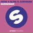 Hook N Sling ft Evermore