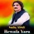Sadiq Afridi