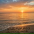 NIZARRO