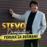 Stevo Damljanović