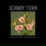 SCANDY TERA