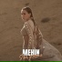 Mehin