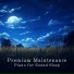 Relaxing BGM Project