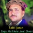 Sabit janan