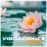 Meditar Principiantes