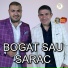 STEFAN DE LA BARBULESTI, Viorel din Aparatori