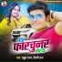 Rahul Ranjan, Shilpi Raj