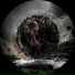 Cortechs, Bjoern Torwellen