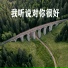 枝涵易