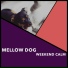 Puppy Music, Puppy Music Therapy