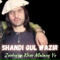 Shandi Gul Wazir