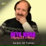 Sardar Ali Takkar