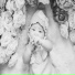 Between the fingers