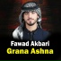 Fawad Akbari