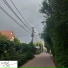 Мартовский котик