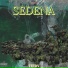 TETRV