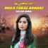 Saleem Jamali