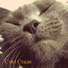 Mishano