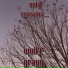 Wolff Grayy