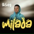 Bituby
