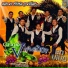 Grupo Vinador