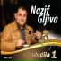 Nazif Gljiva