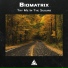 Biomatrix