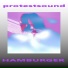 PROTESTSOUND