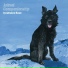 Advance Base