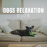 Dog Relaxation