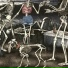 Deergod feat. BONES