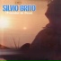 Silvio Brito