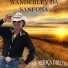 Wanderley da Sanfona