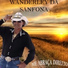 Wanderley da Sanfona