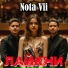 Nota Vii